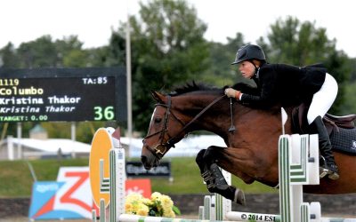 Congratulations to a Special “Old Horse” from This Old Horse